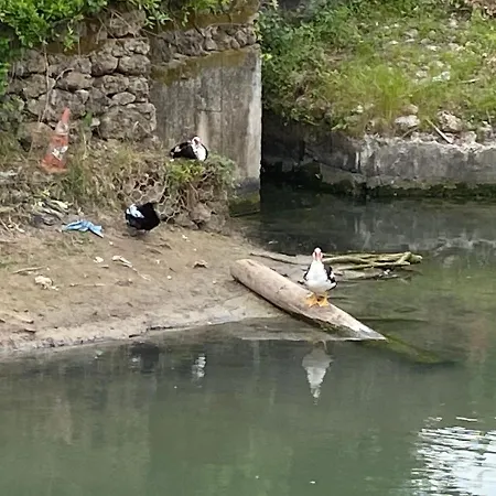 Casa John Apartament