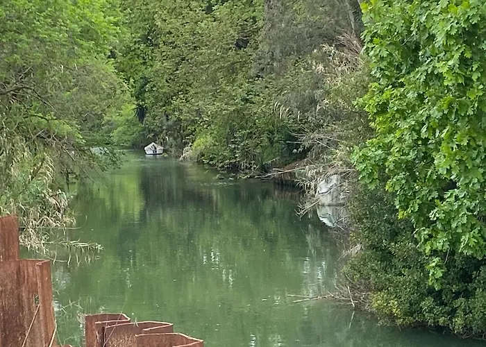 Casa John * Αλεπού