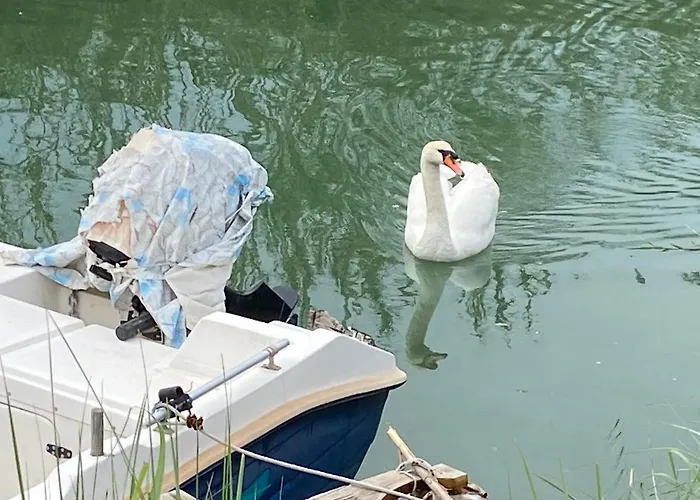 Διαμέρισμα Casa John Αλεπού